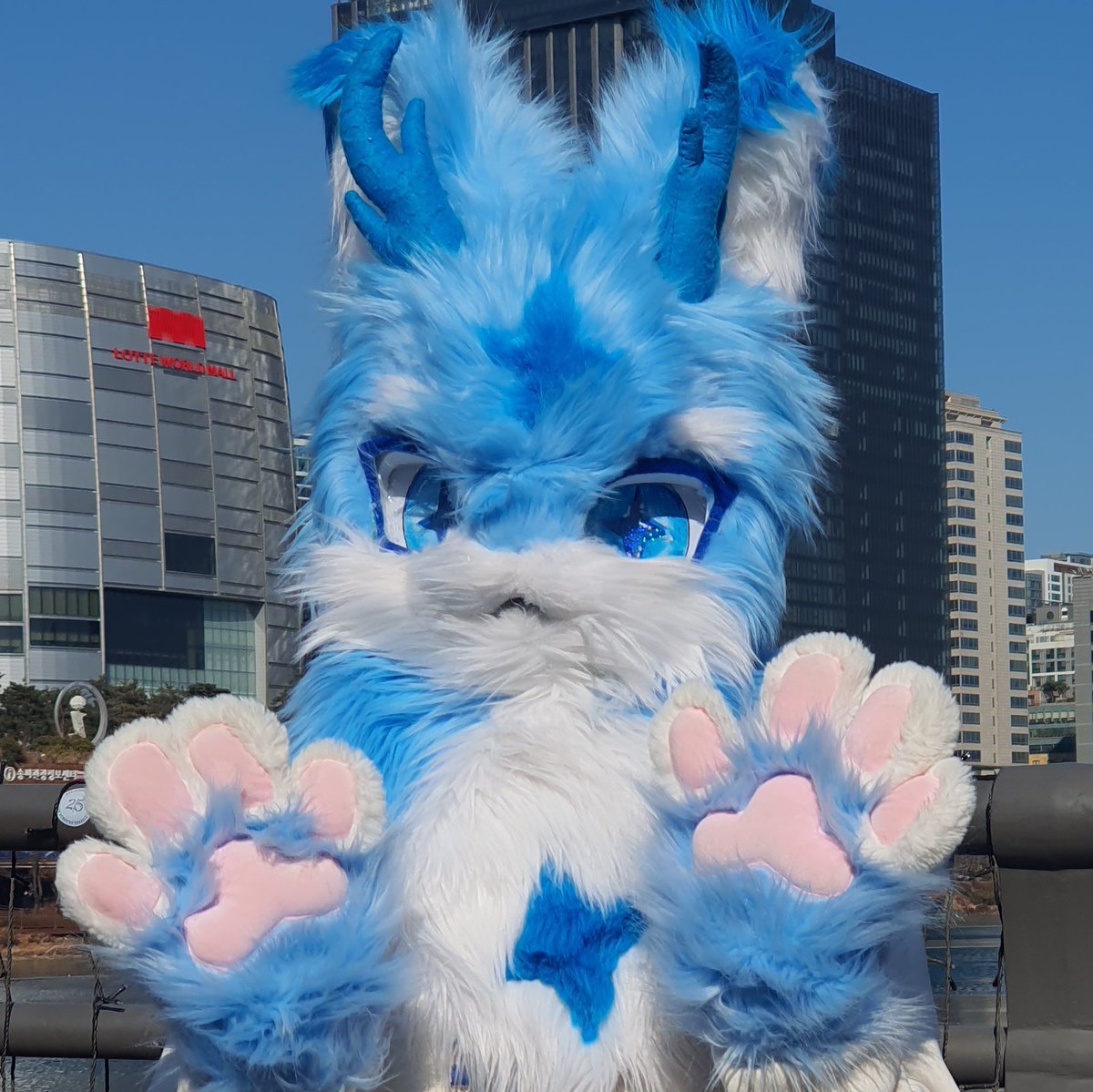 스텔라-stella❄️🔜수원 5코 일요일 tweet media