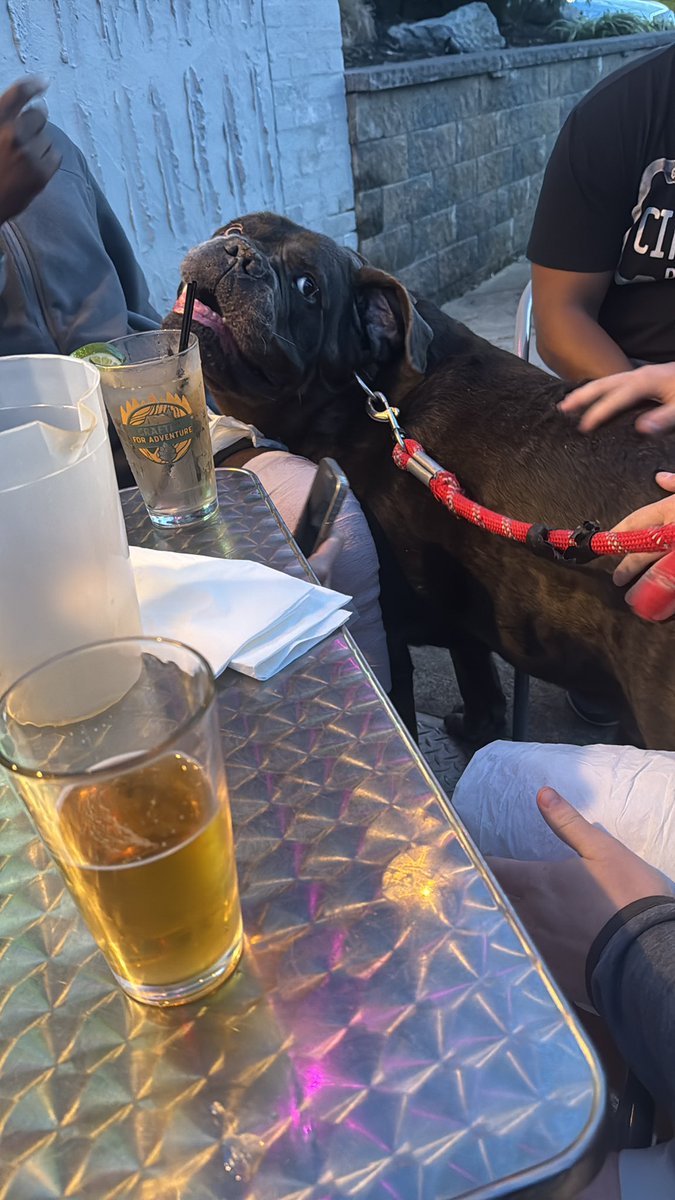 Azul loves tequila sodas! #alldawgshere #bigdawgseat