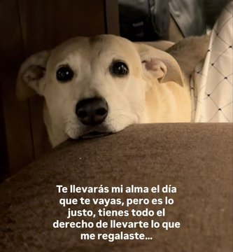 FraseSimple's tweet photo. https://t.co/EWjQNbshHq