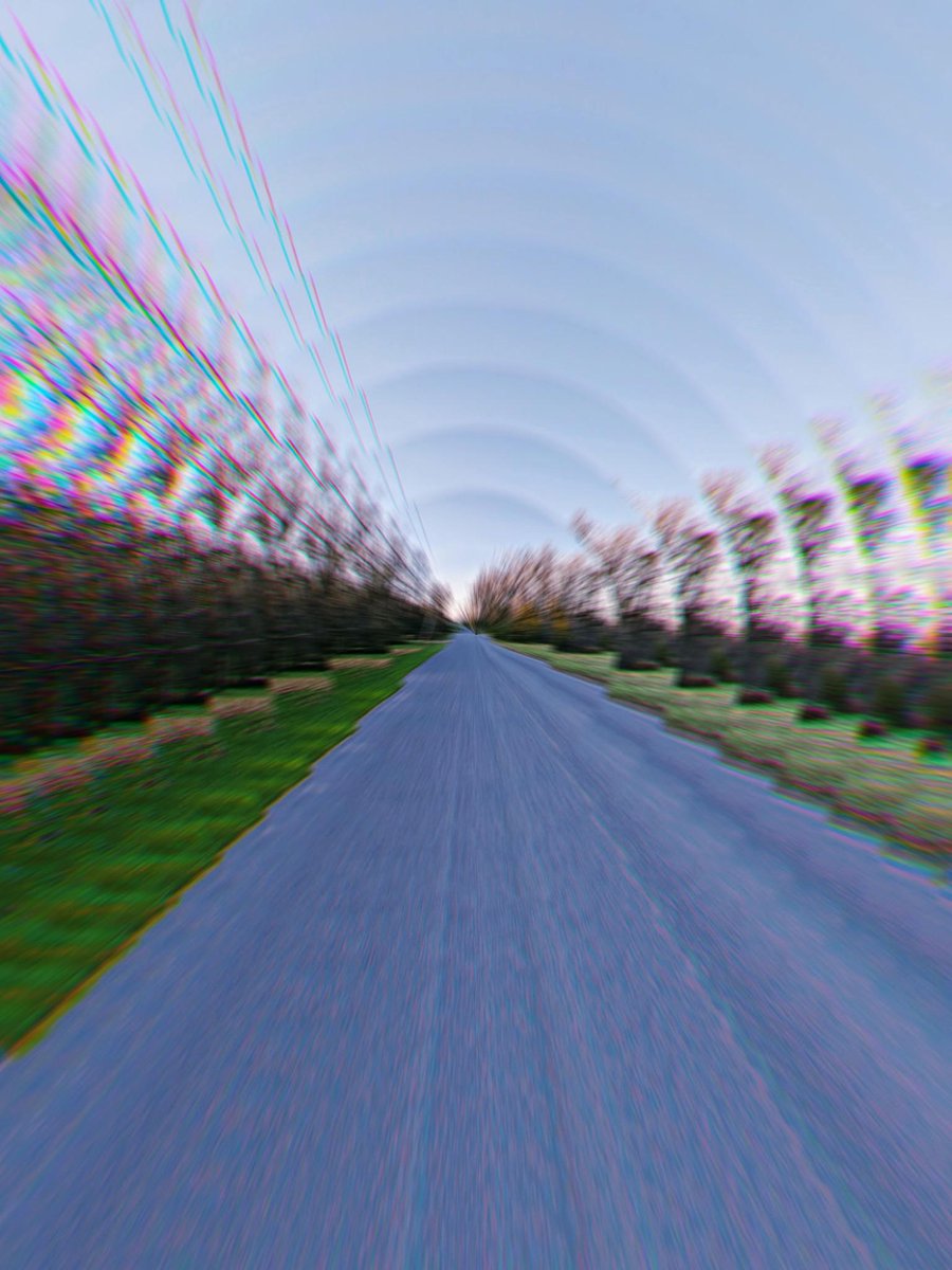 Taylor Sterling tweet media