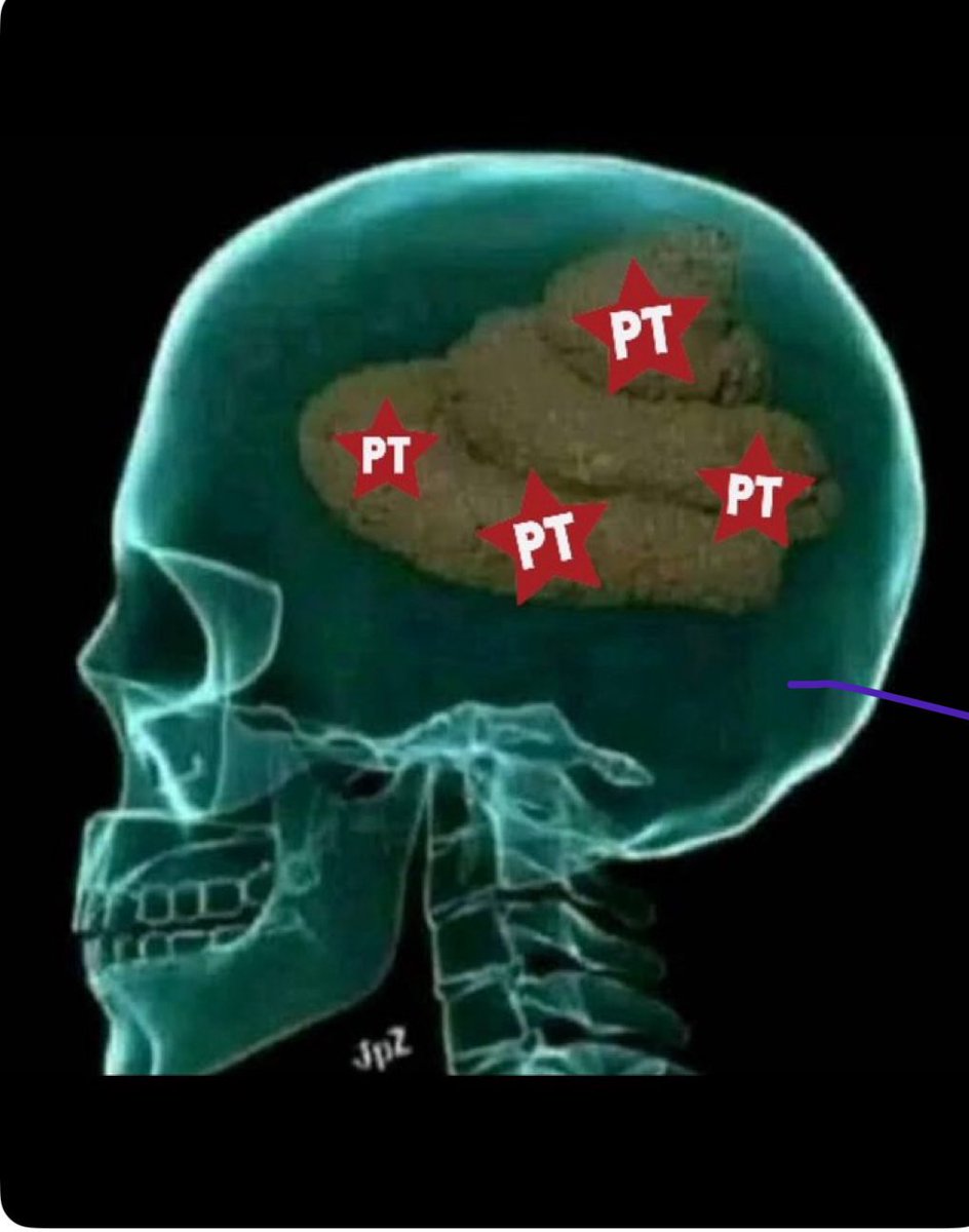 Lia Lima tweet media