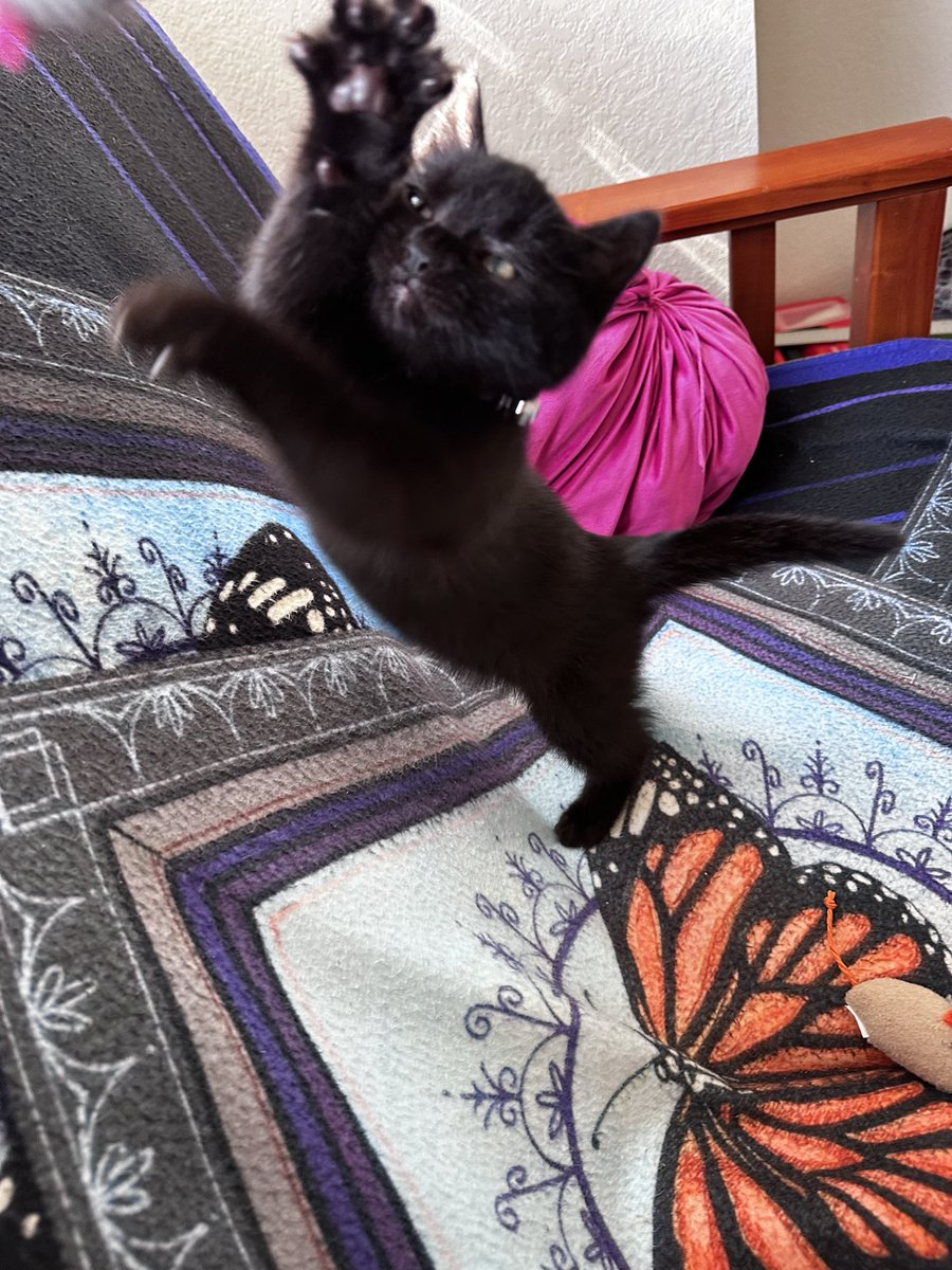 csea? ♡ tweet media