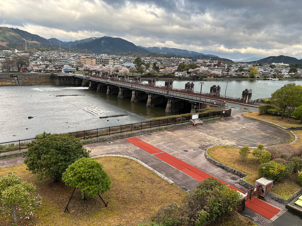 国土交通省 琵琶湖河川事務所 tweet media