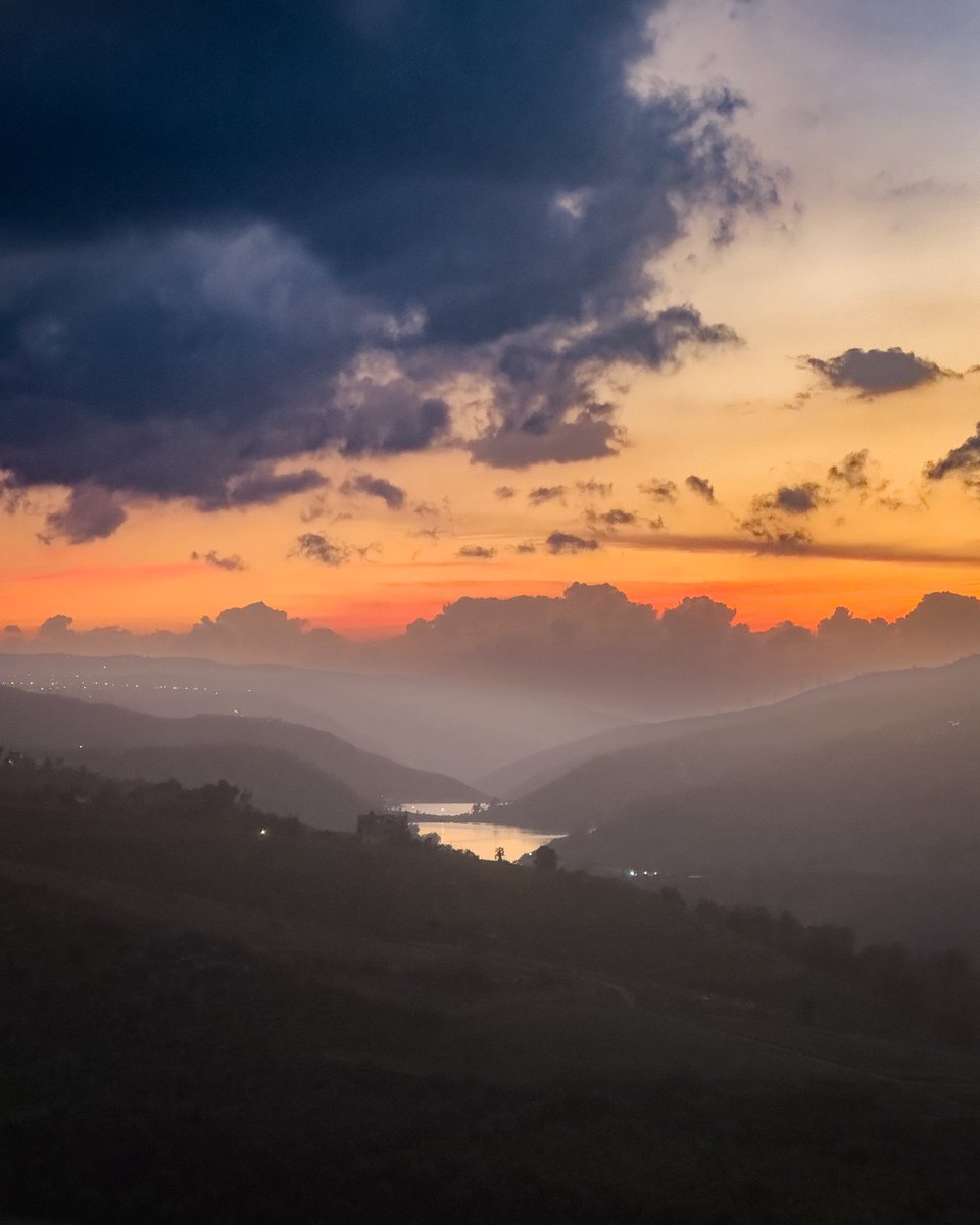 Ahmad Jubran　ヨルダン館　館長 tweet media