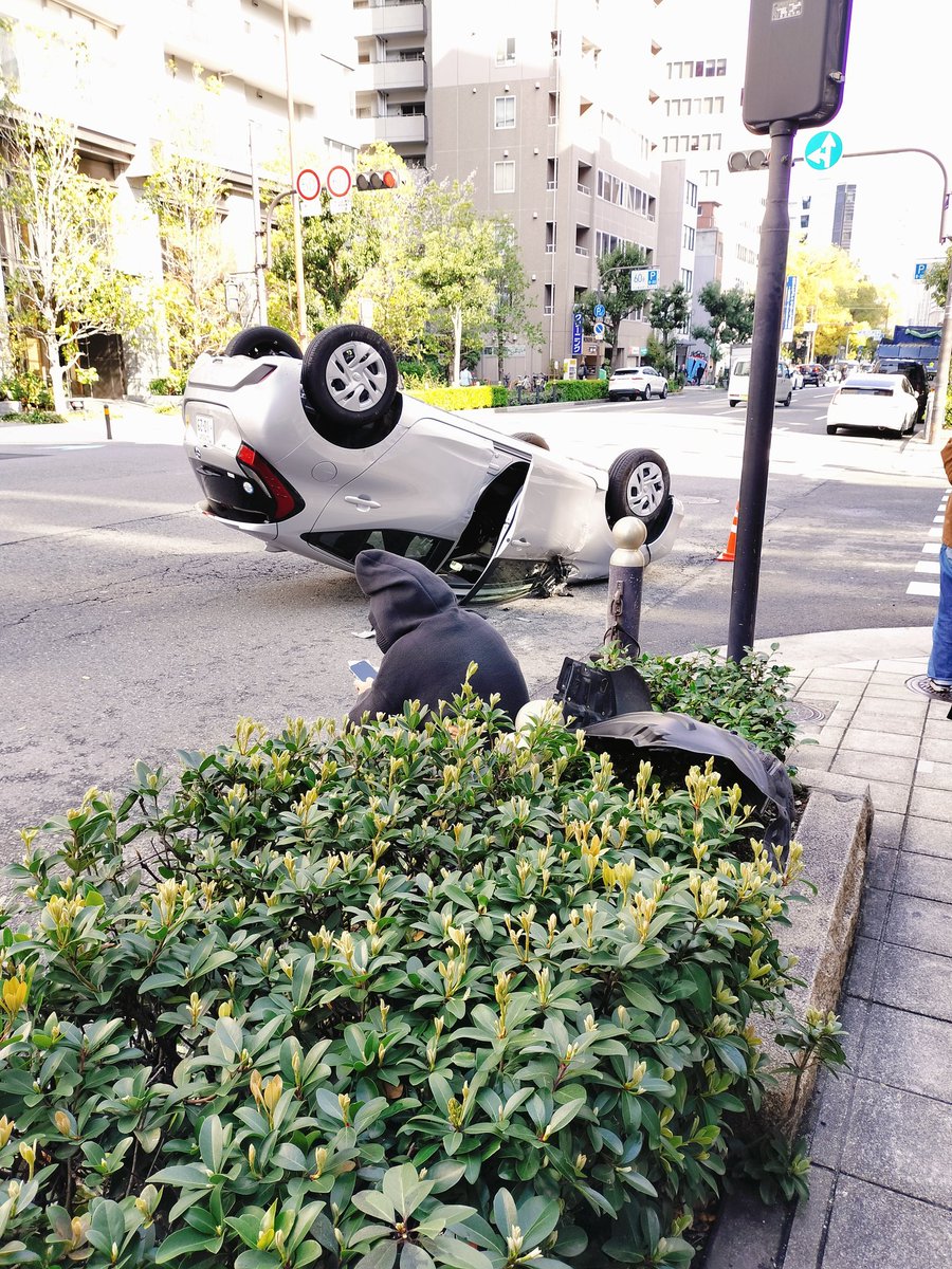 そまゆん tweet media