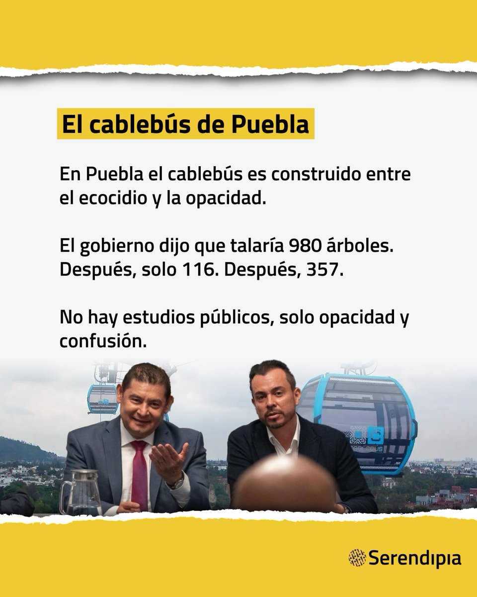 Serendipia tweet media