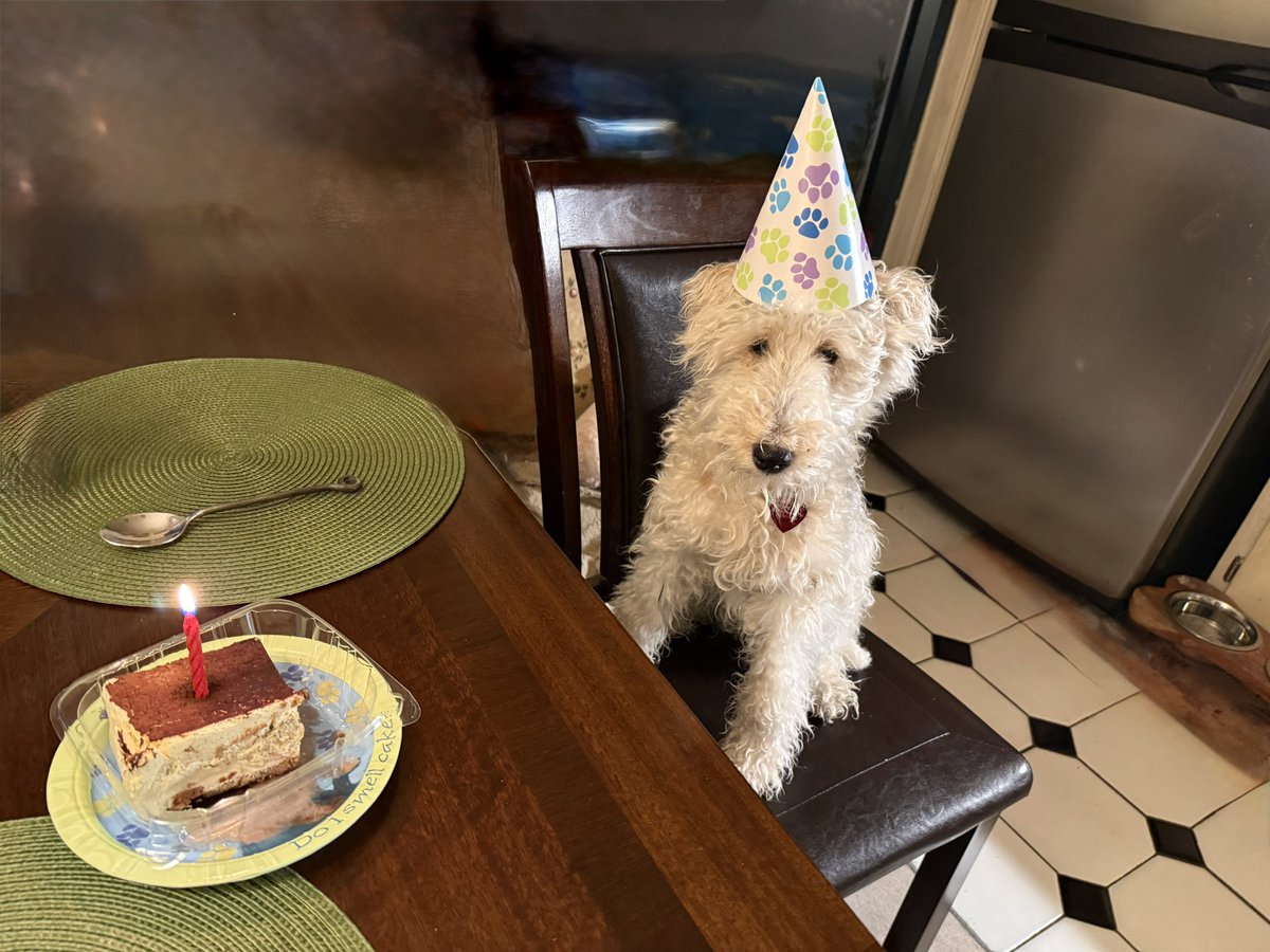 Pete Pappas tweet media