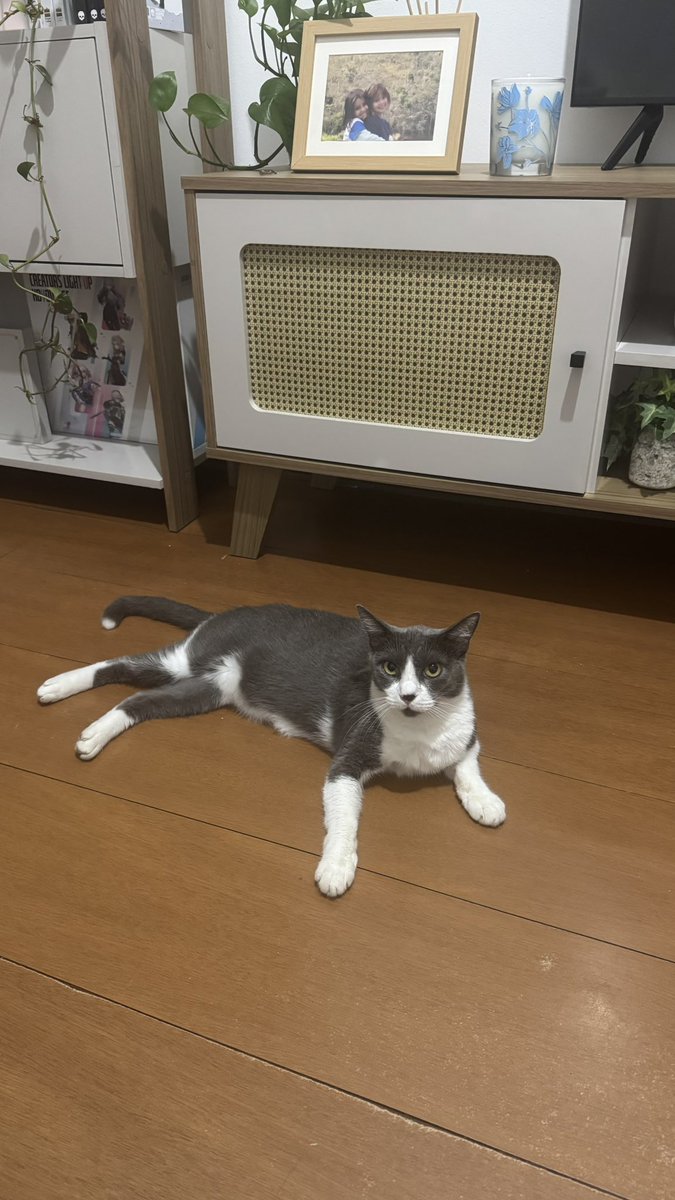 anajup 🫧 tweet media