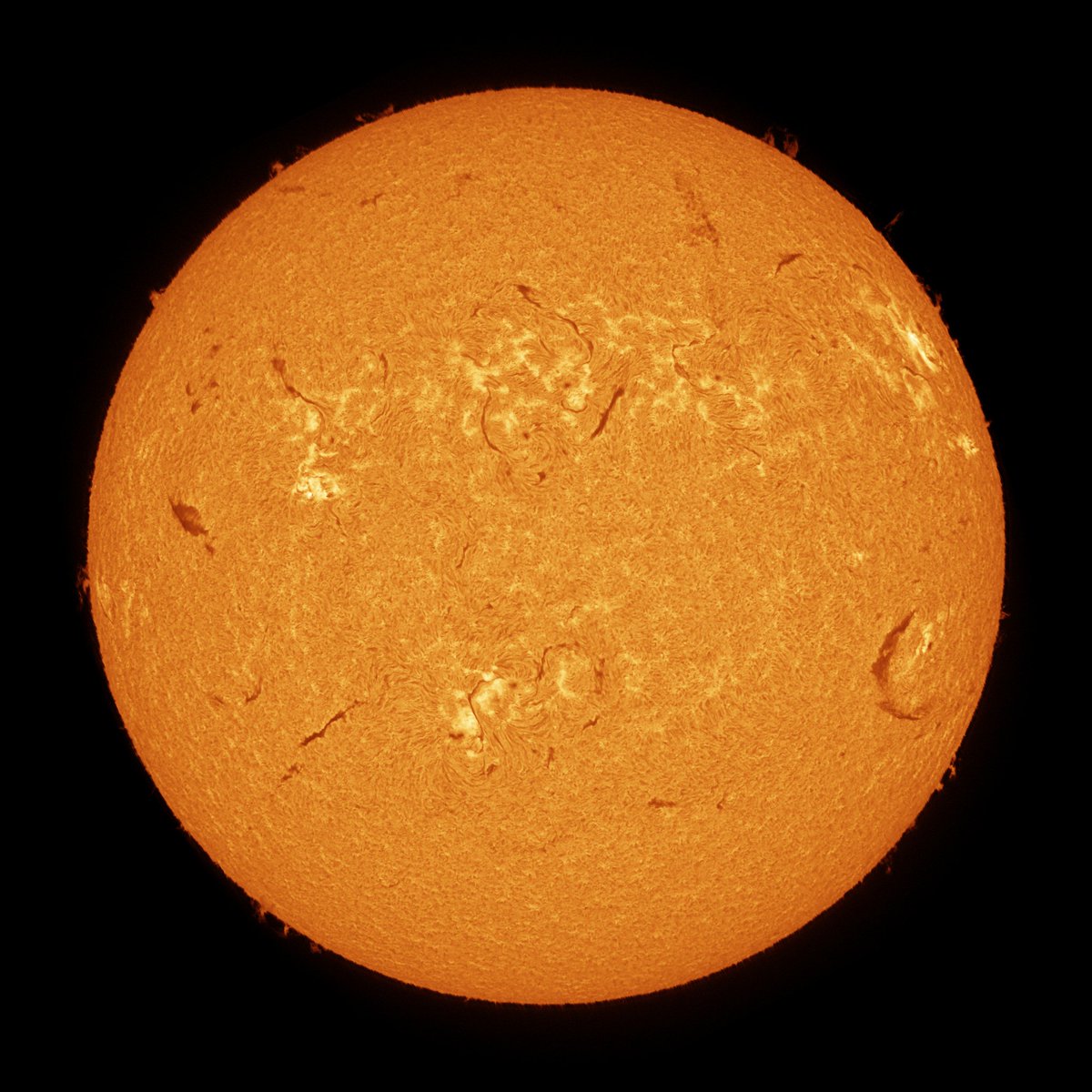 Mario 🪐🌒🌞🌌🔭🐸 tweet media