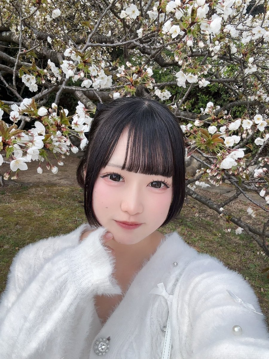 うに【えるなん】@2026.5.1池袋harevutaiワンマンライブ tweet media