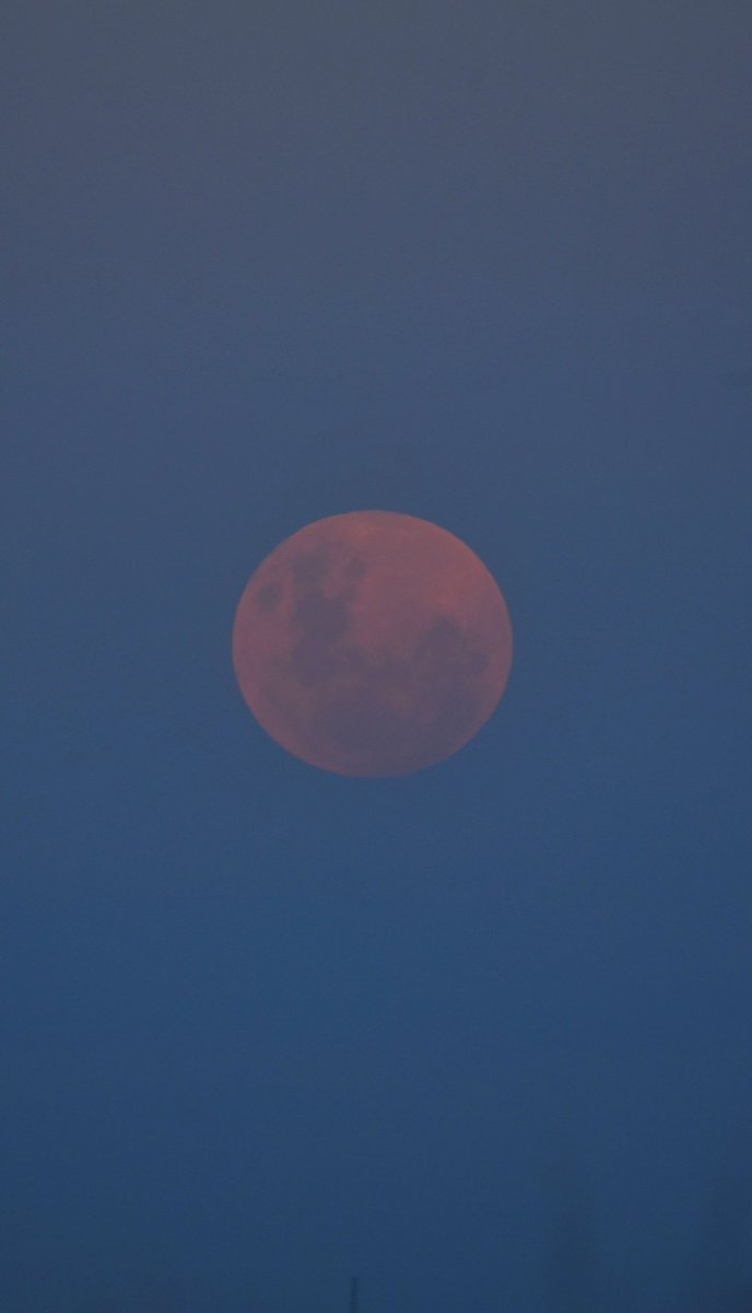 Sonia Maciel tweet media