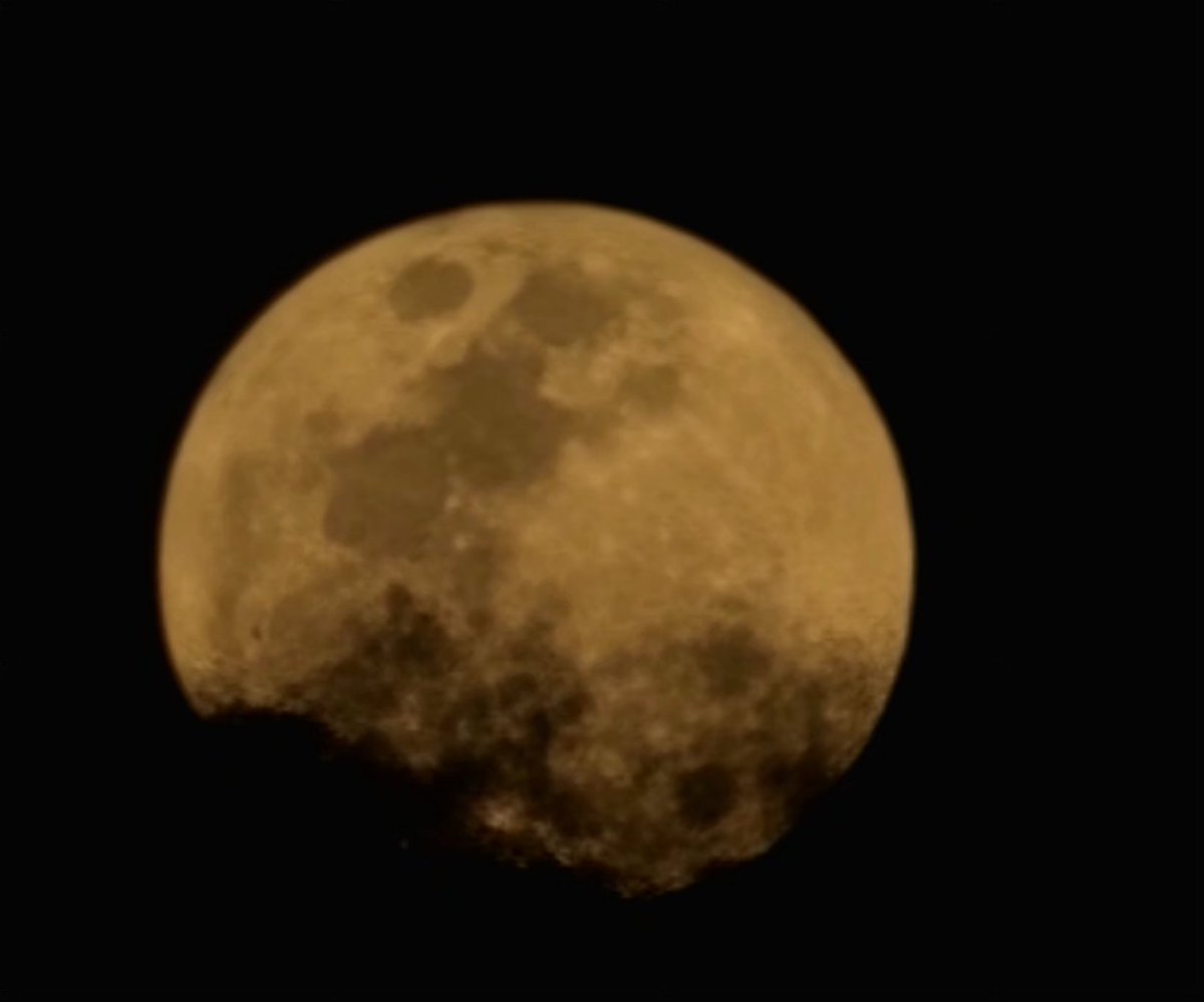 Norma Ortiz Rodriguez tweet media