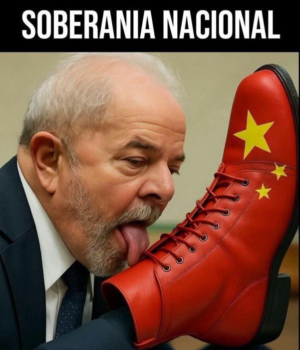 Lia Lima tweet media