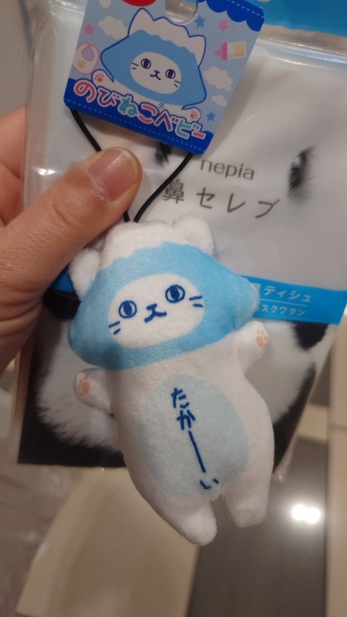 なつ‎ܾ ܾ 𖥧𓇣𖦥𖥧𖥣** tweet media