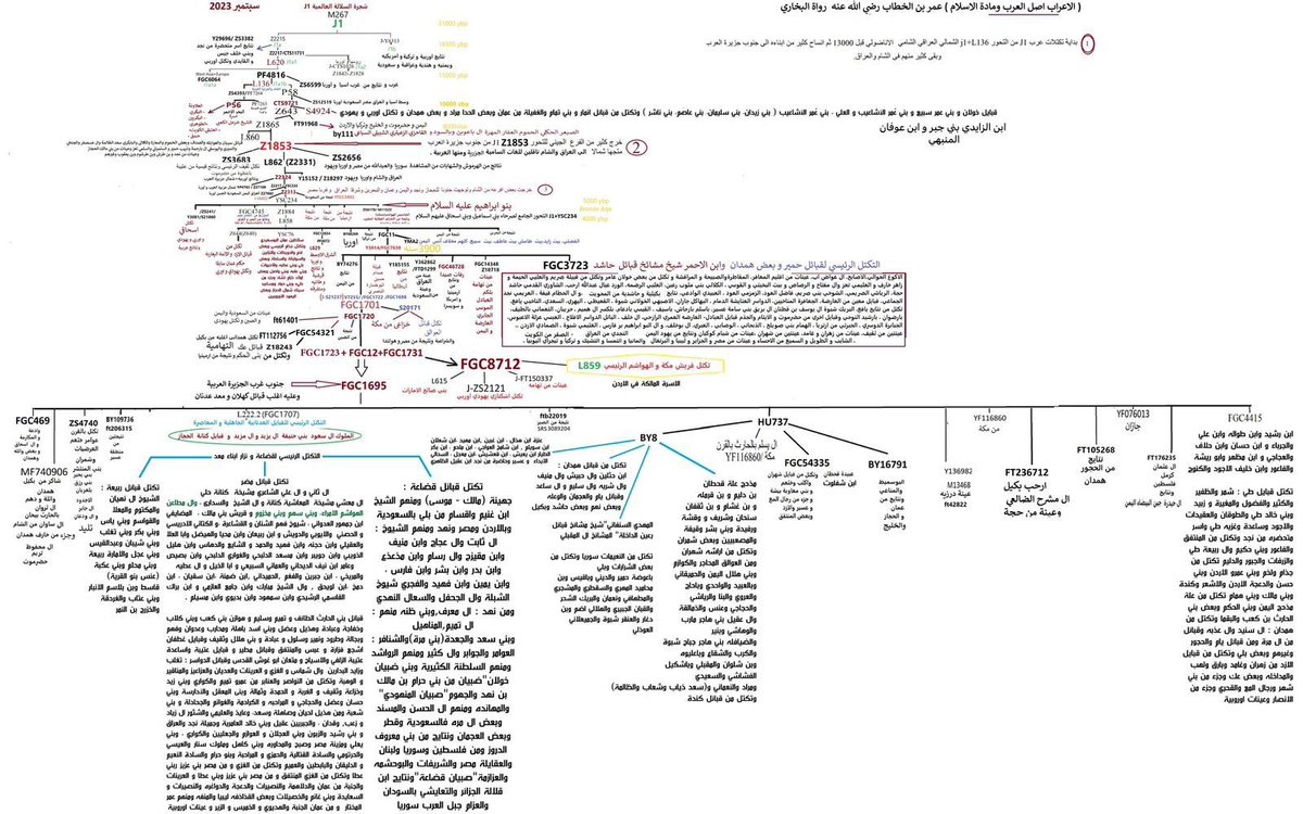 𝗗𝗿. 𝗦𝗵𝗿𝗻𝗼𝗼𝗳_𝗟𝟮𝟮𝟮.𝟮✍️🏼شرنوف الجعيدي tweet media