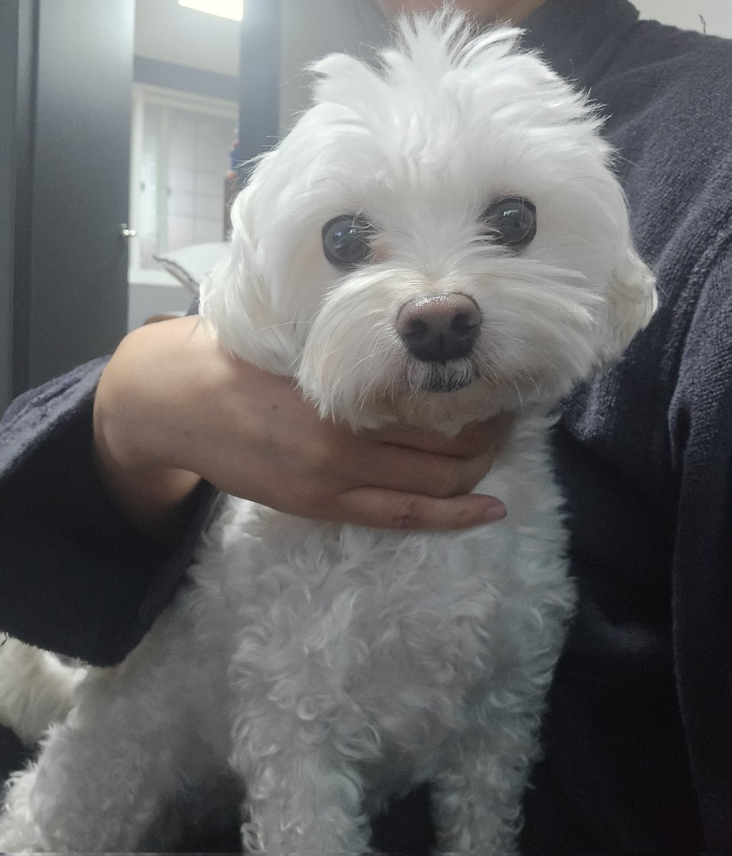 pickypicky tweet media