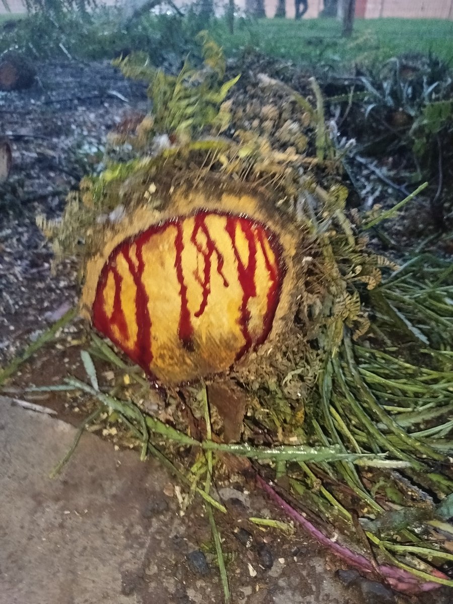 ★ células desfiguradas ★ tweet media