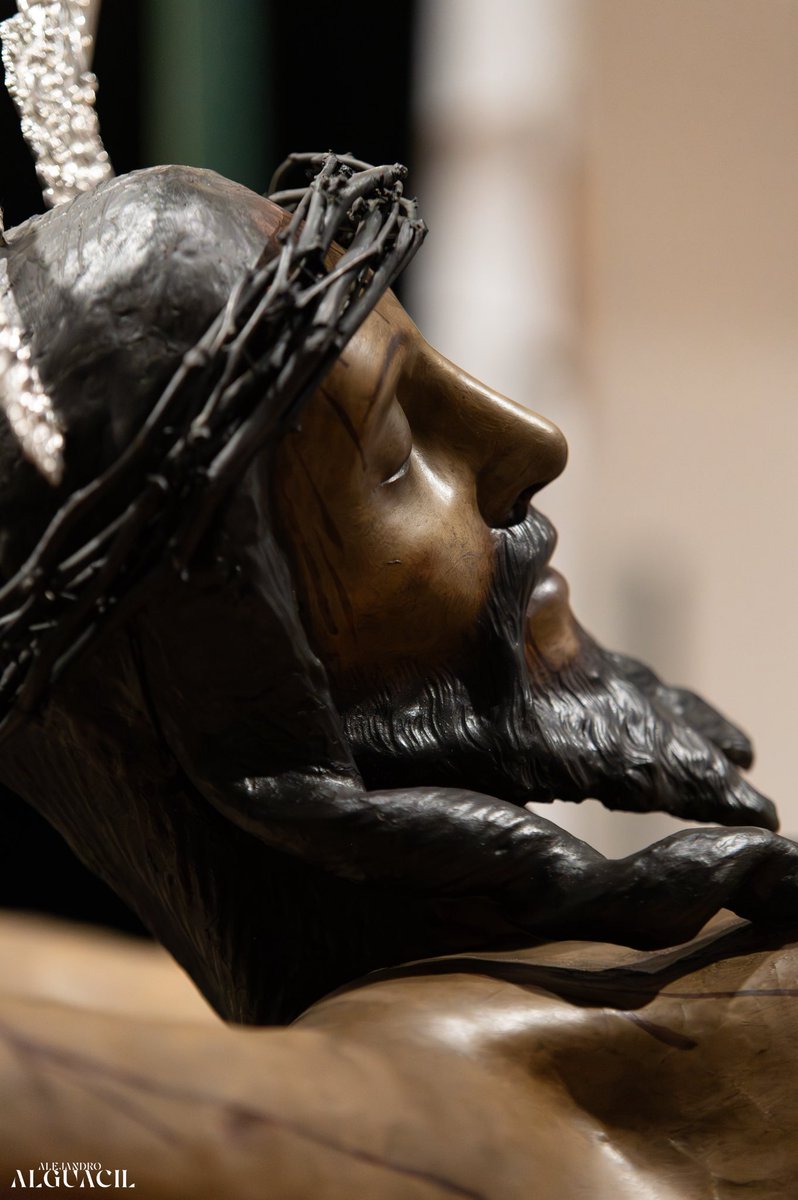 Alejandro ۞ tweet media