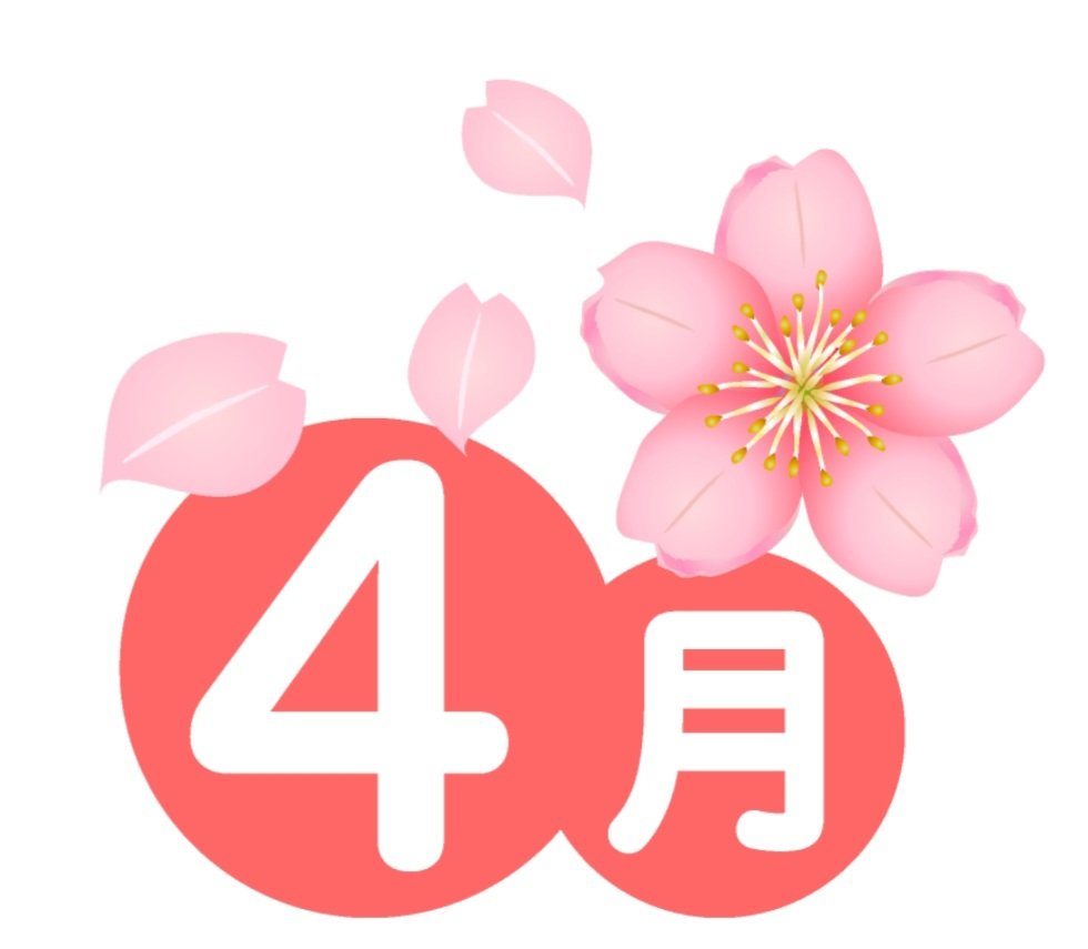 SAKURA新橋 tweet media