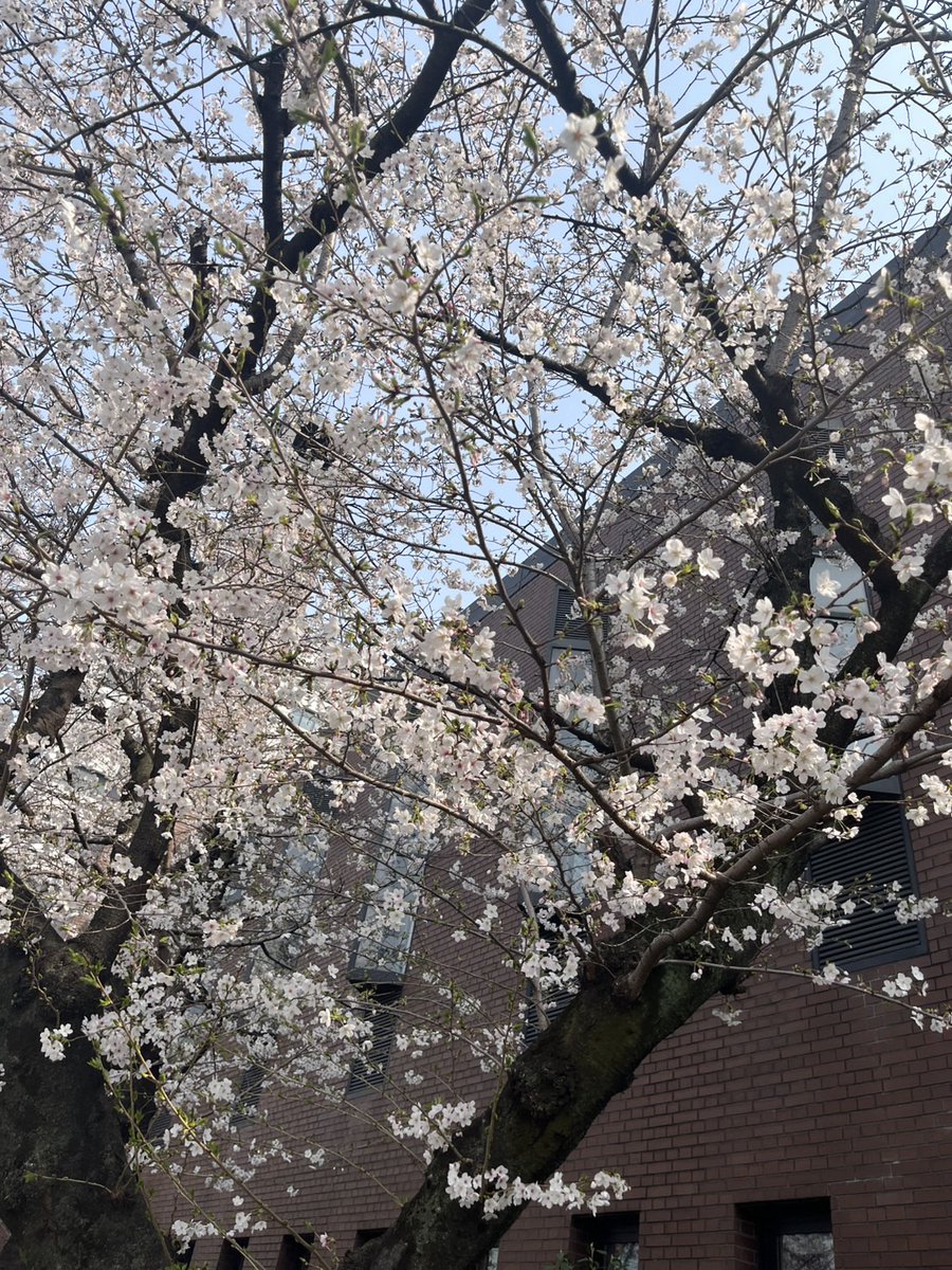 こんにちは🌸
愛知若年者地域連携事業です。
今年度もスタートしました。

愛知労働局の委託事業で若年求職者（44歳までの方）と県内企業の採用・定着を応援しています。
イベント情報は順次公開していきますので、
HPをぜひご確認ください！
jakunen-aichi.mhlw.go.jp