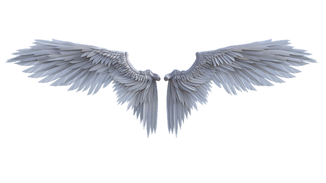 Andrew Davidson tweet media