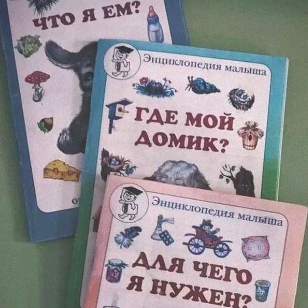 Мыш Нелетучий tweet media