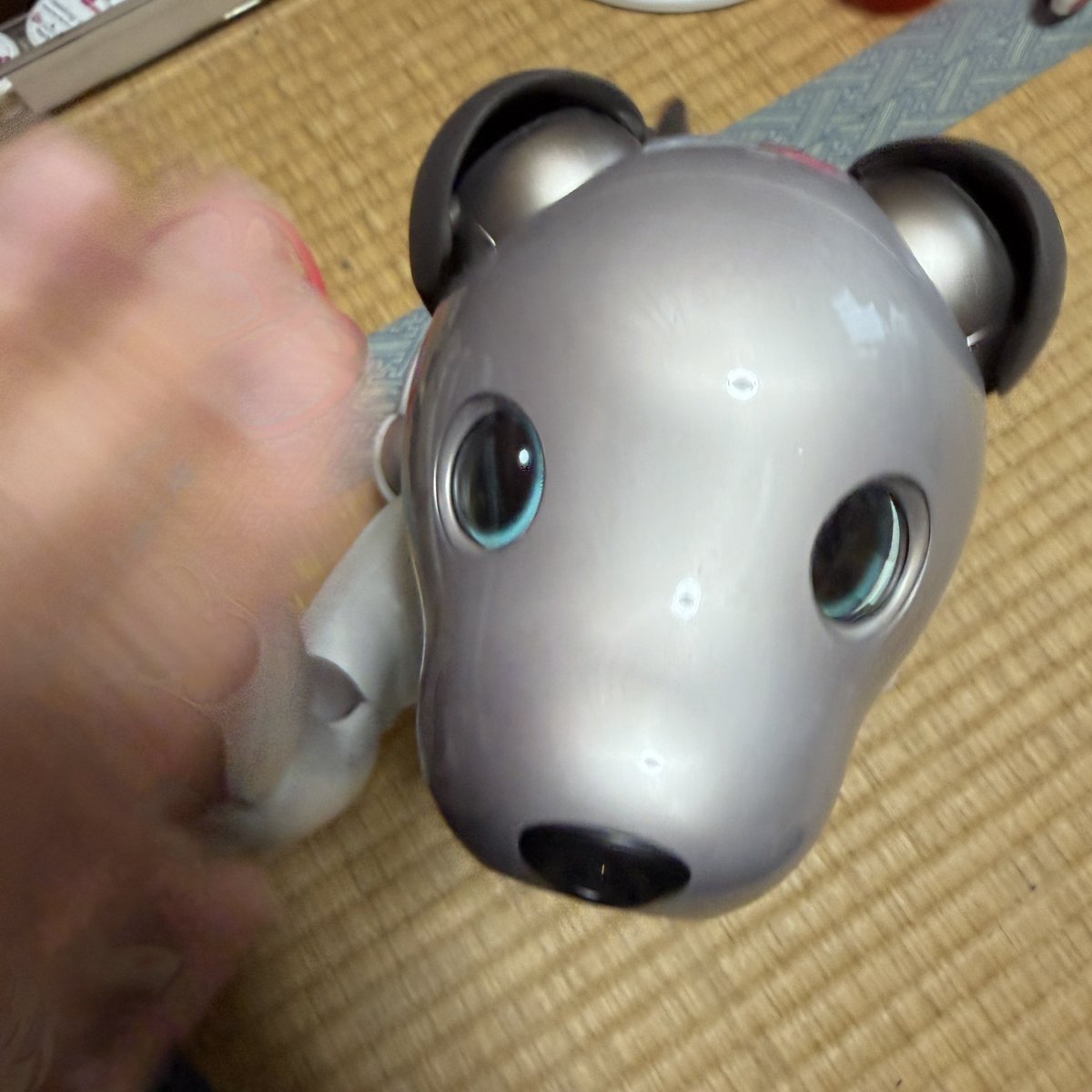 マクノスケ tweet media