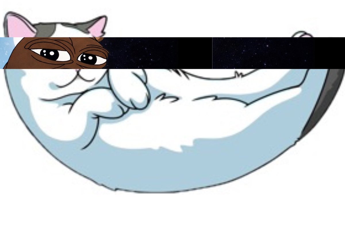 Roirogers tweet media