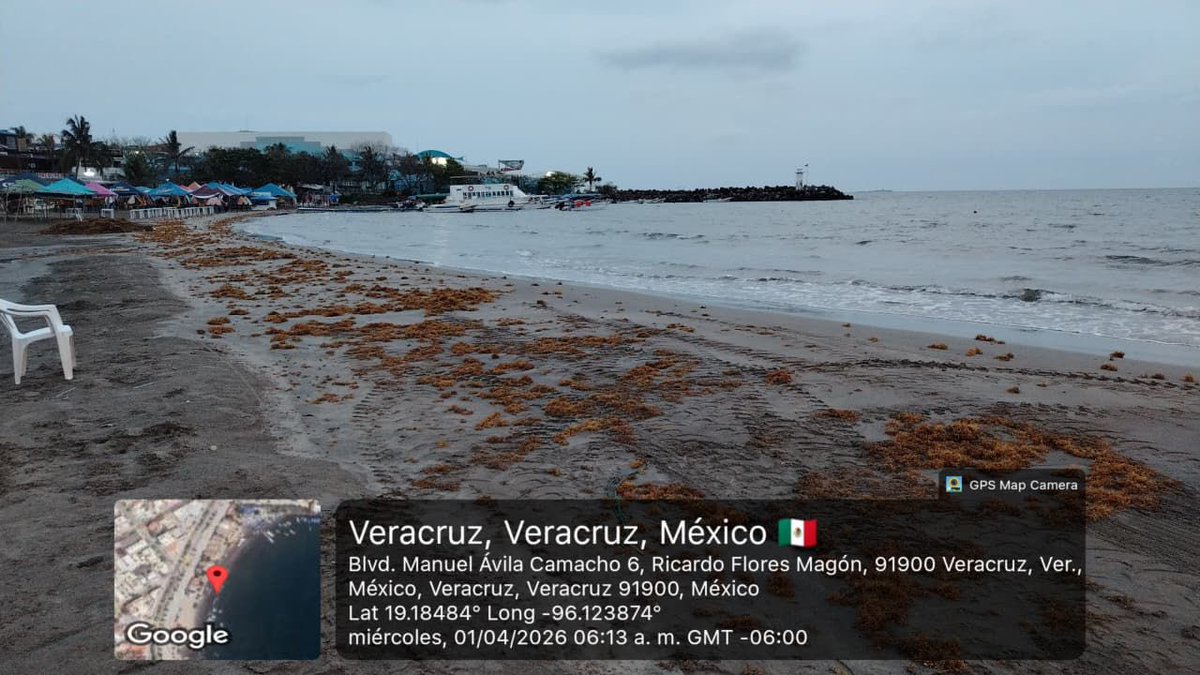 SENER México tweet media