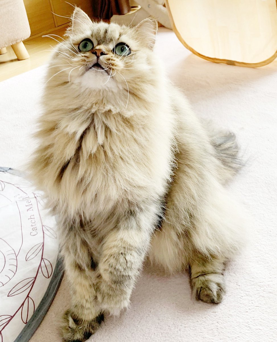 まき🌿 tweet media