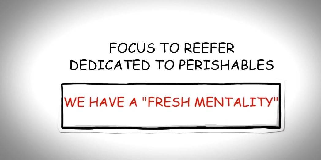 Easyfresh Logistics tweet media