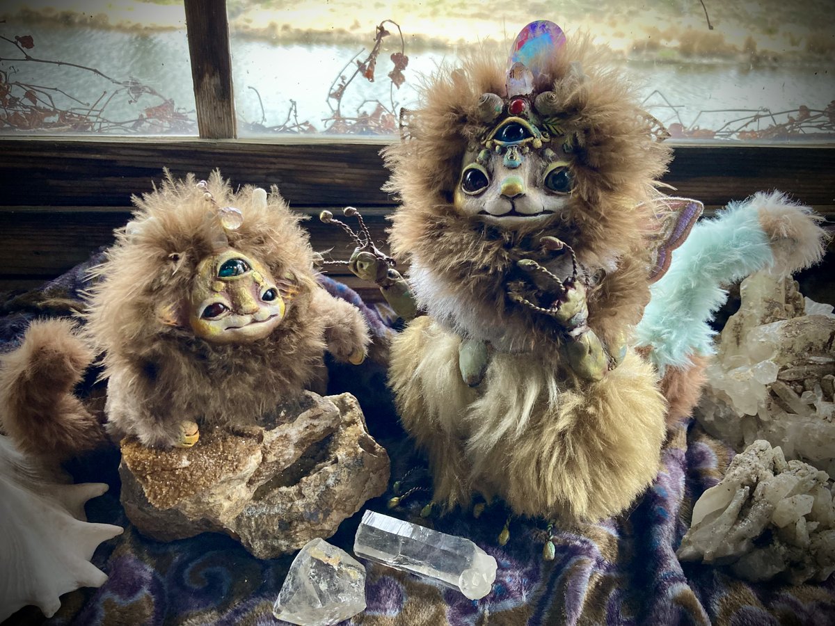 FANTANIMA! tweet media