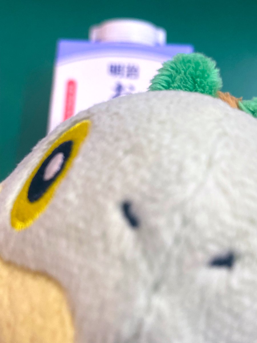 ちっちゃいナエトル tweet media