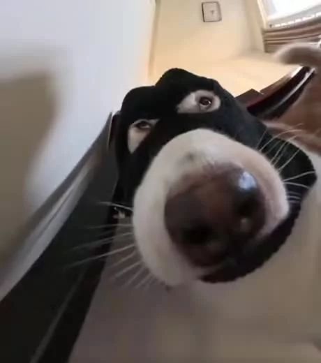 ˖.𖥔 ݁ 𝑨𝒍𝒚𝒔𝒔𝒂 ⚢ (-8/10)⊹ ࣪ ˖ tweet media