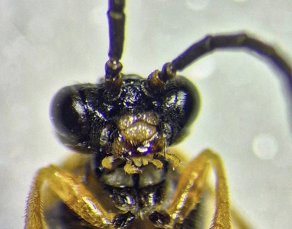 Ryan Mitchell tweet media