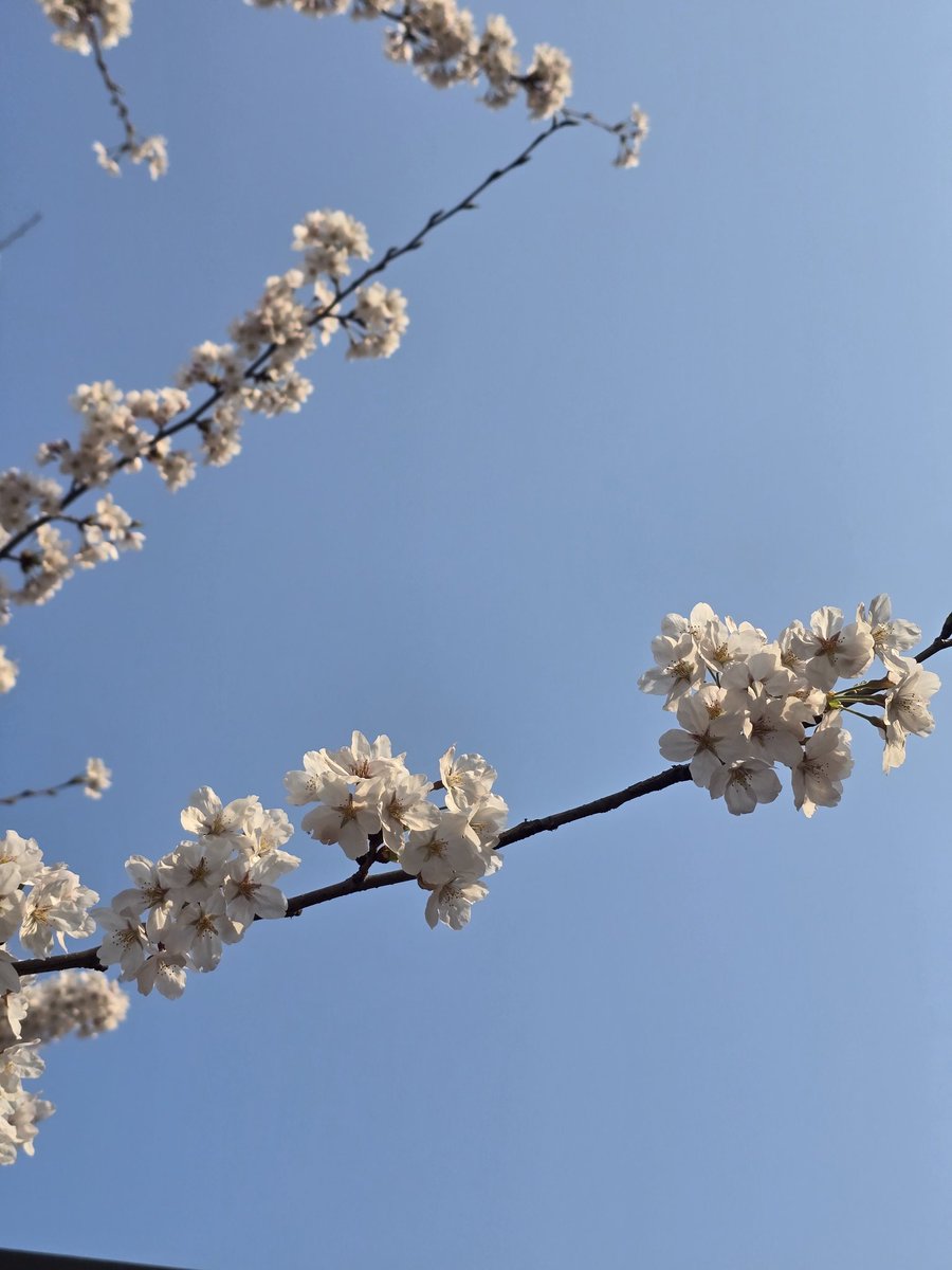 재니 tweet media
