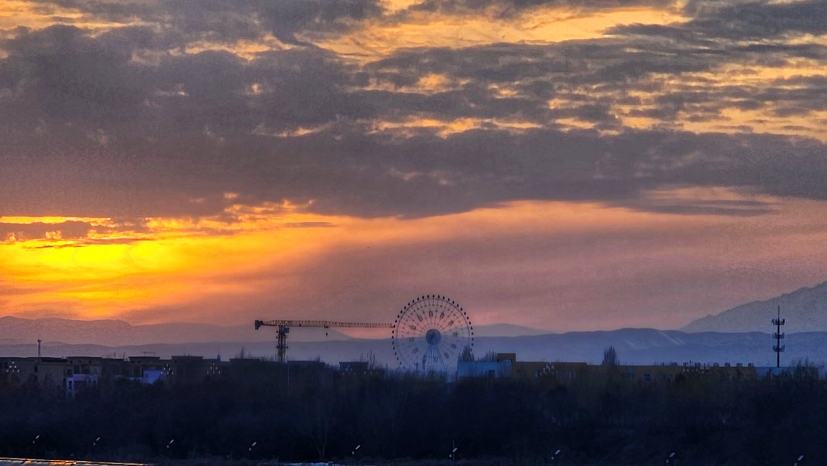 小收收 tweet media