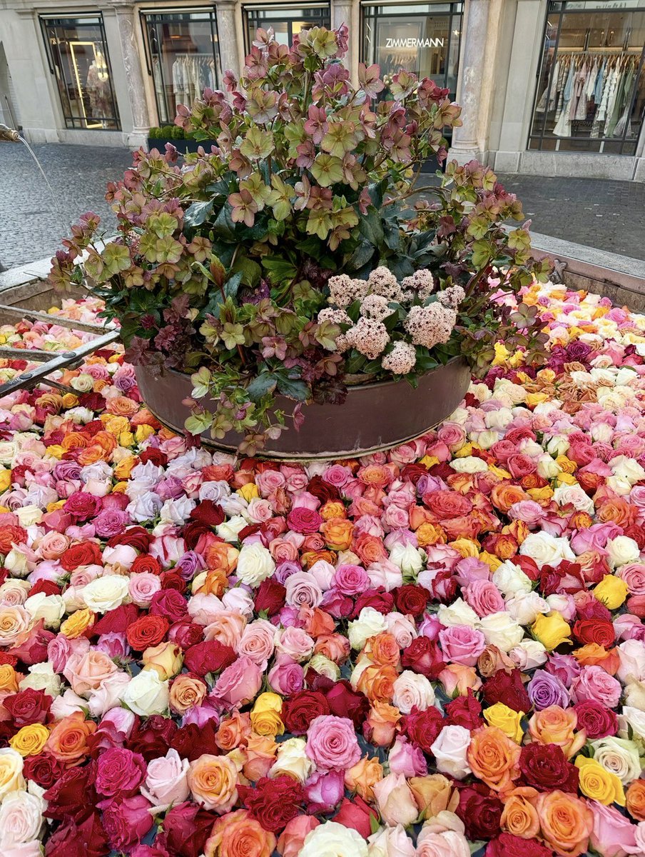 NewInZurich tweet media