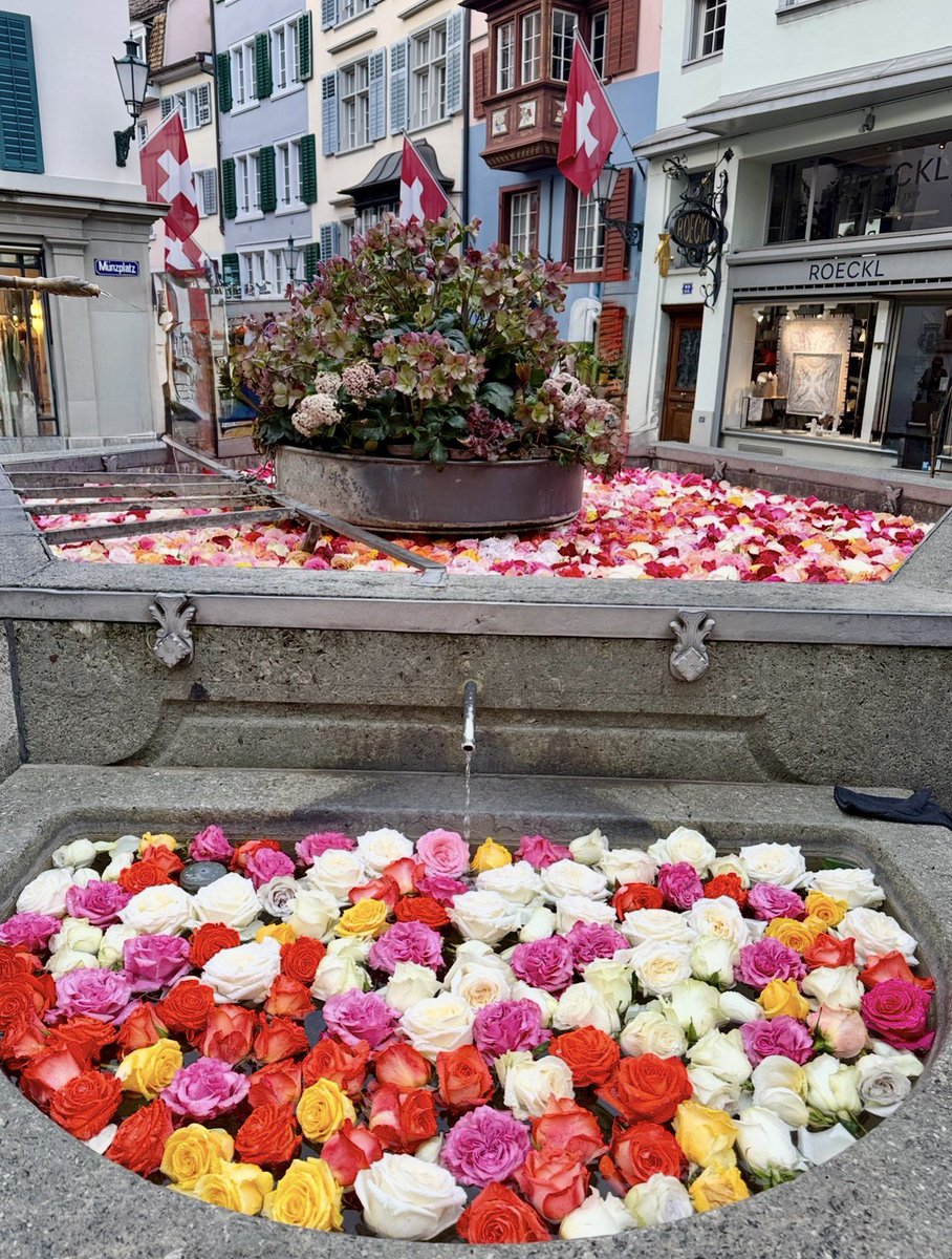 NewInZurich tweet media