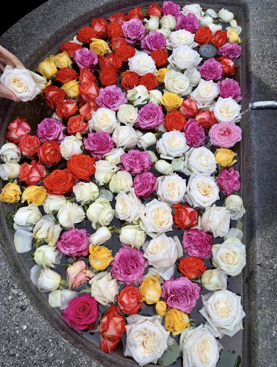 NewInZurich tweet media