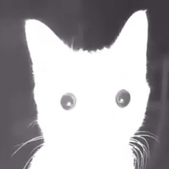 sunoo thinker 💭 tweet media