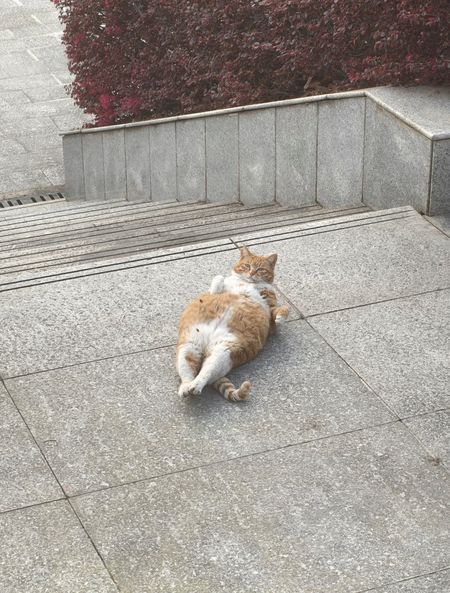 Kathleen tweet media