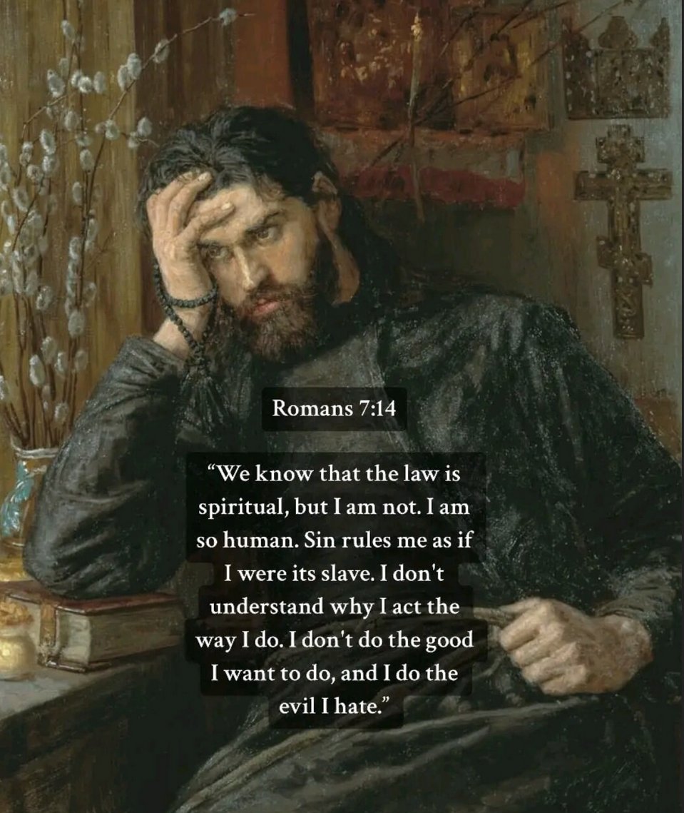 Rock Solid tweet media