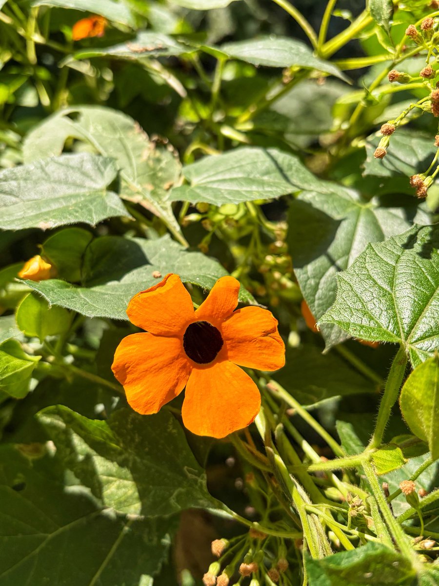 BelMa PM 💚 tweet media