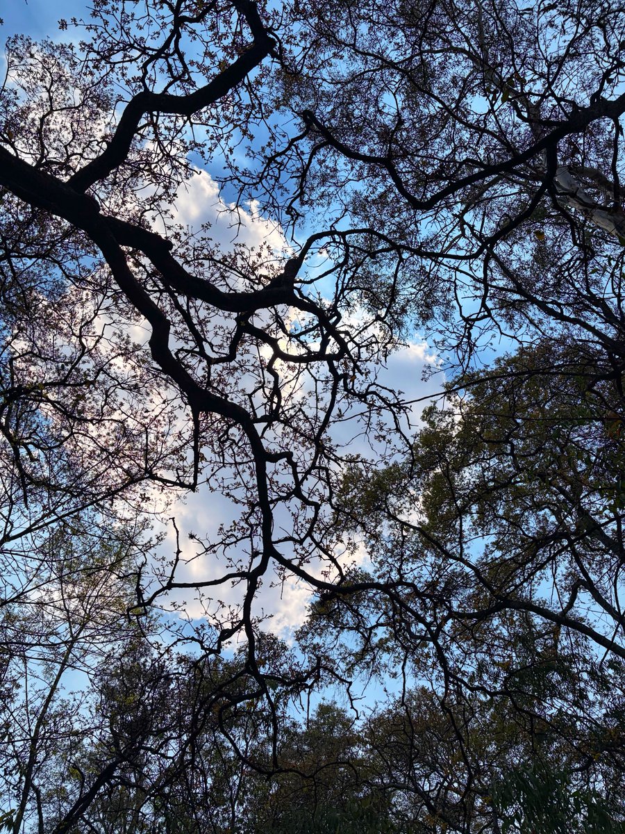 BelMa PM 💚 tweet media