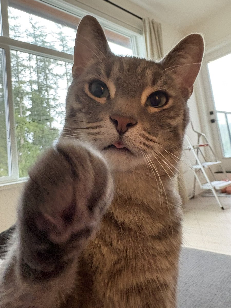 G ☆彡 tweet media