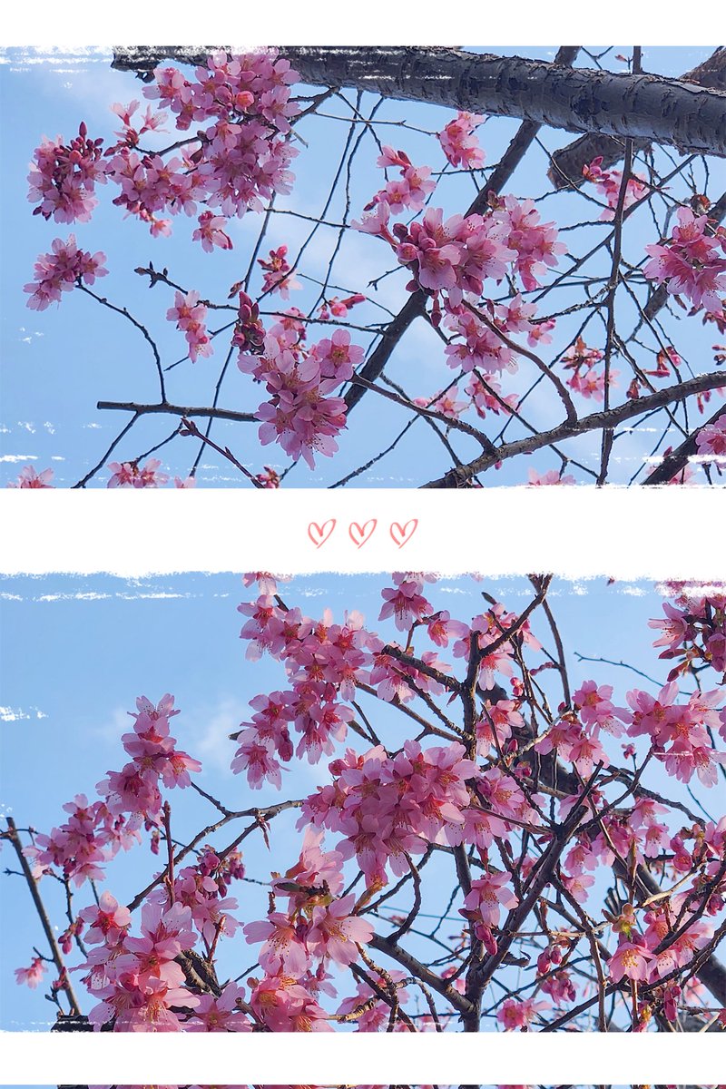 ℍ𝕦𝕘 tweet media