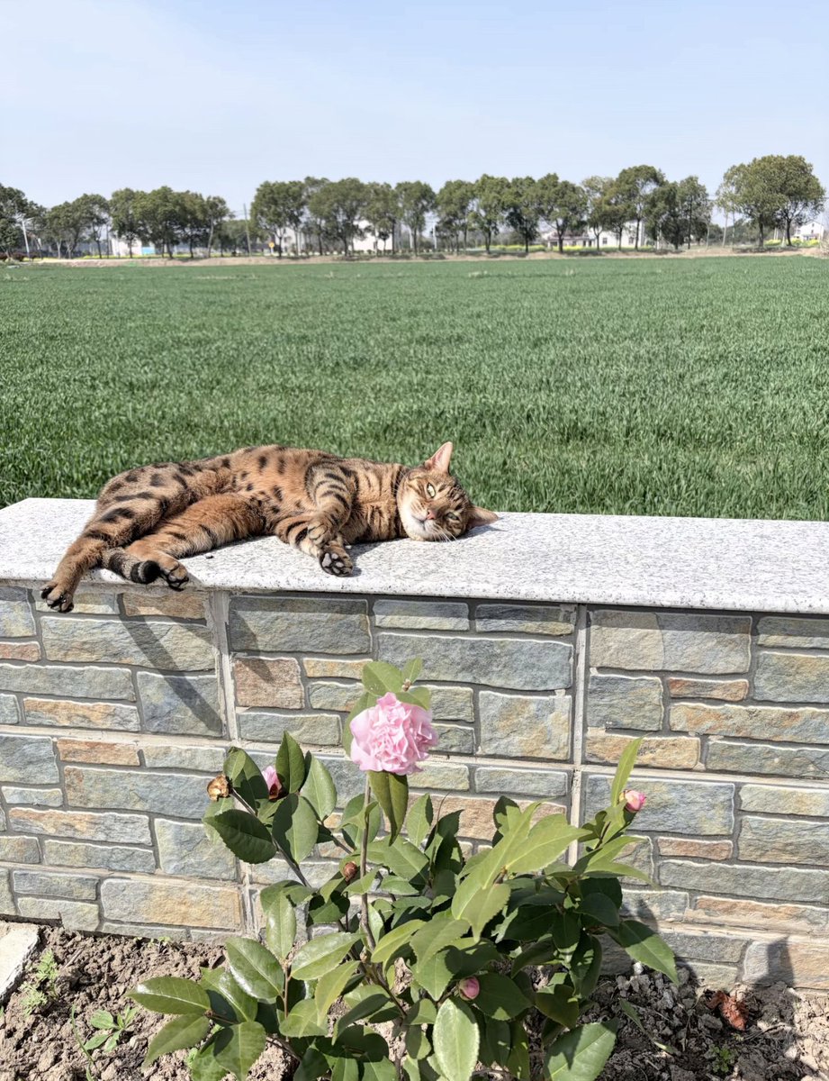 Kathleen tweet media