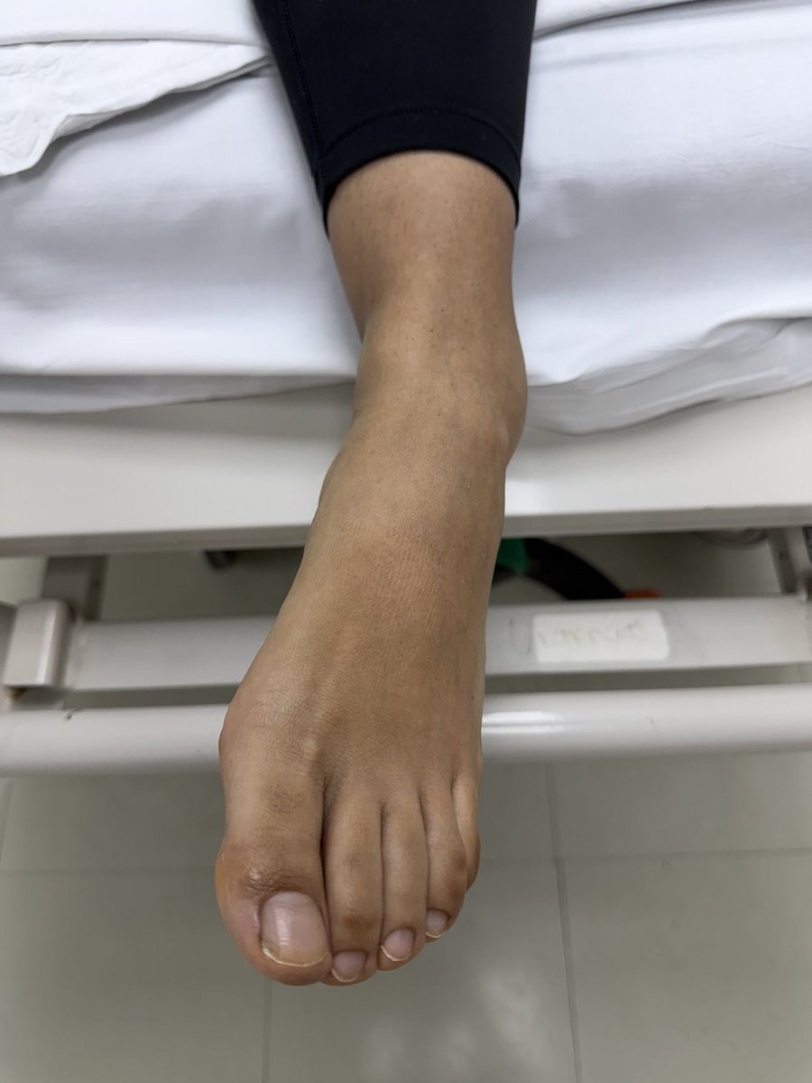 ColomosProvi tweet media