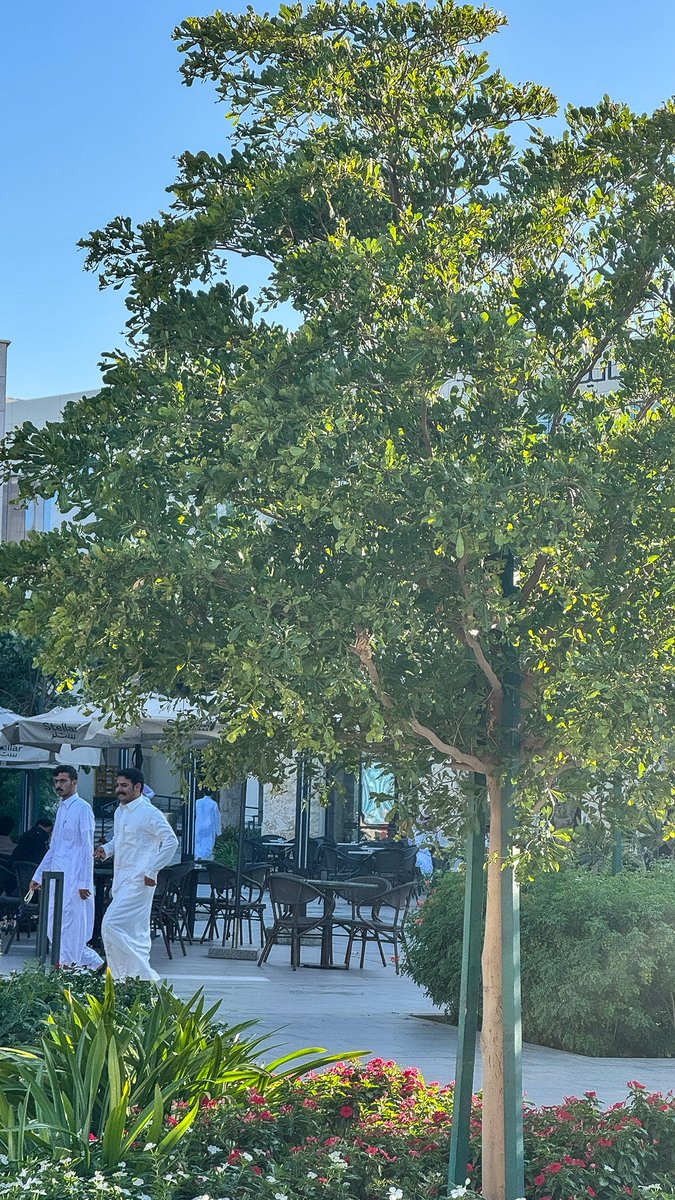 🇸🇦 kholood🤍305 tweet media